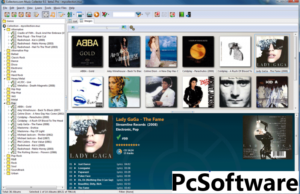 Music Collector Free Download Full Version v7.1